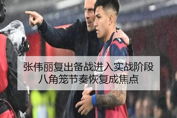 张伟丽复出备战进入实战阶段 八角笼节奏恢复成焦点